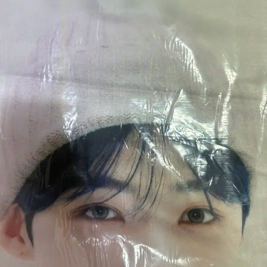 더비존 담요 뉴