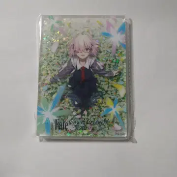 FGO Fate Grand Order전 별을 보는 회랑 마슈 아크릴 블록