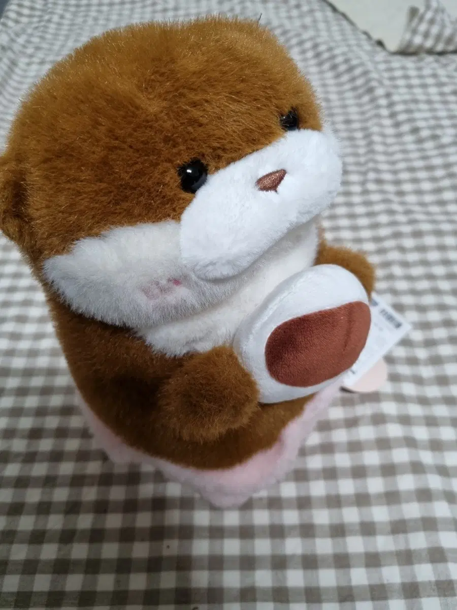 우소우소짱 갈색 수달 인형