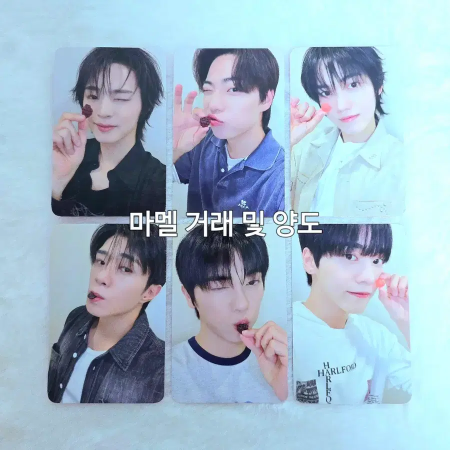 온앤오프 에버라인 대면 온앤구미 ver. 미공포 양도 판매