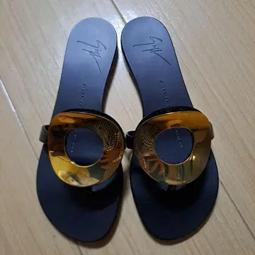 Giuseppe Zanotti