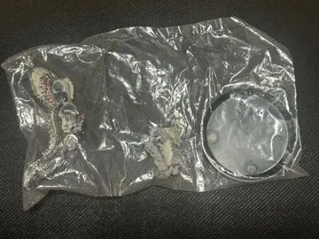 몬스터 헌터 진오우거 아종