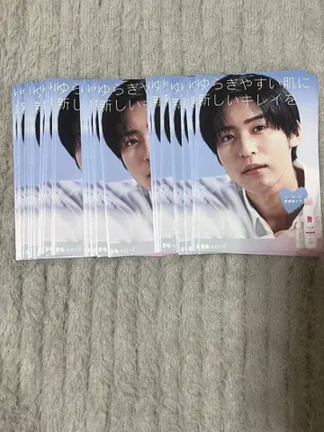 메구로 렌 KOSE 팜플렛 38장 세트