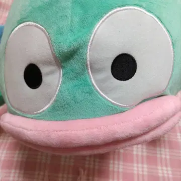한교동 봉제 인형