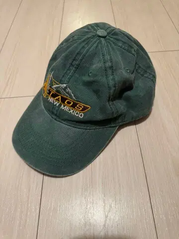 American Souvenir Co TAOS 캡 그린