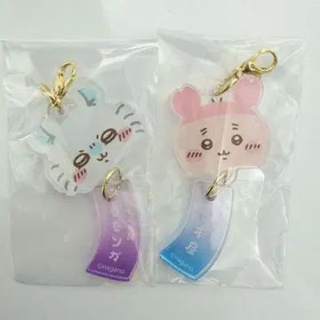 치이카와 (먼작귀) 모구모구 본포 풍경이 되어버린 아크릴 참 모몽가 헌책방