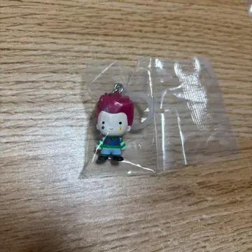 HUNTER x HUNTER 히소카 메지루시 액세서리 익명 배송