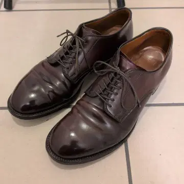 ] Alden 53501 코도반 플레인토 버건디 US7.5D