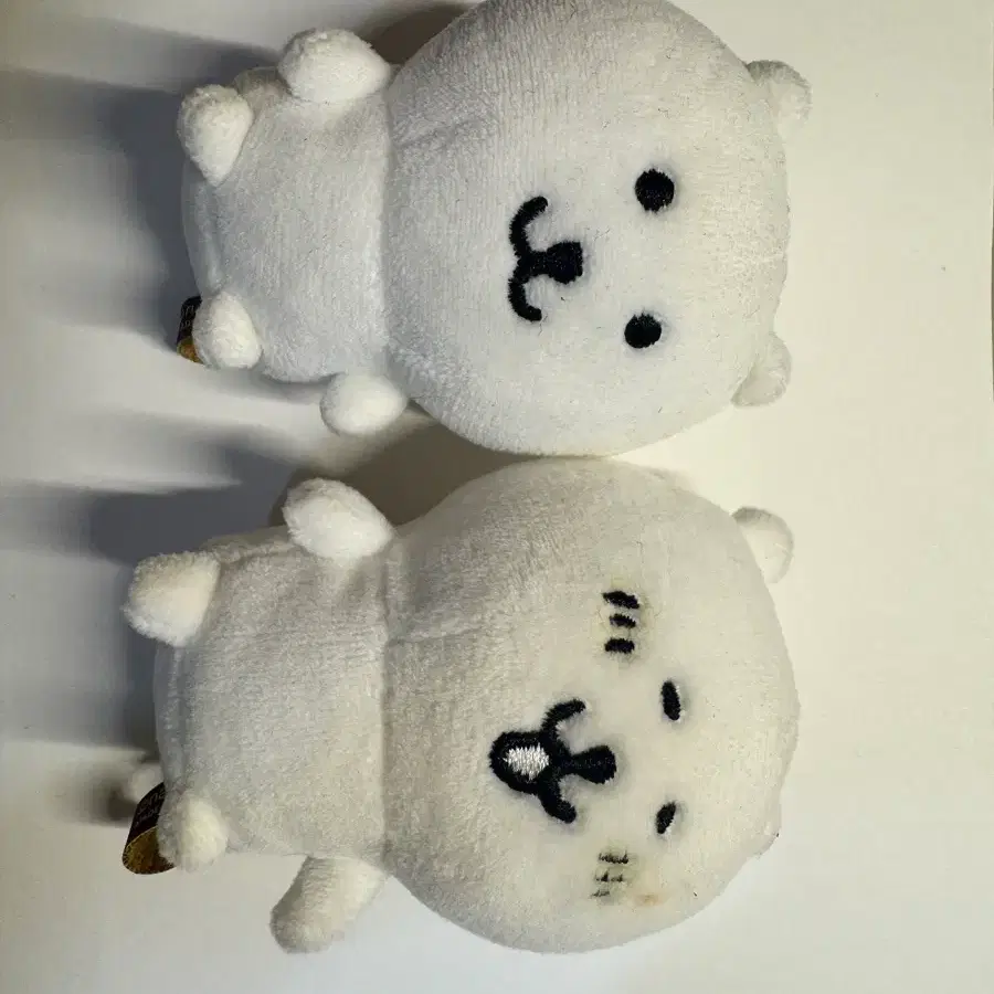 농담곰 인형 팔아요