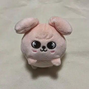 straykids puppym 백참