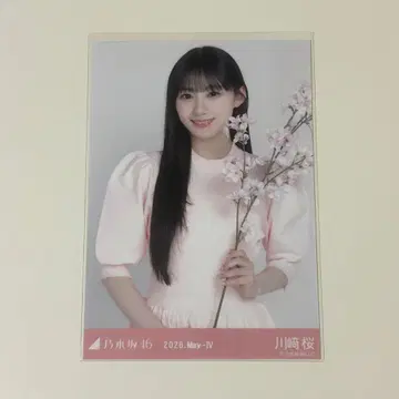 브로마이드 카와사키 사쿠라