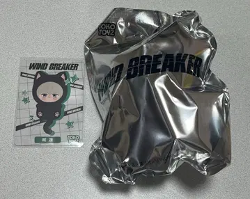 WIND BREAKER 윈브레 캐릭터 누이 카지 렌 TOKOTOYZ