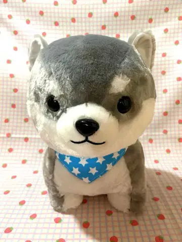 시바견 봉제 인형 별 패턴 반다나