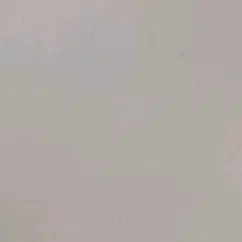 에뛰드 실리콘 립앤치크 브러쉬
