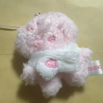 11 필릭스 포가리