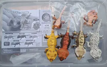 반다이 생물대도감 쁘띠 크레스티드 게코 피규어 컴플리트