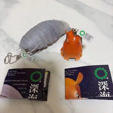 대왕쥐며느리 문어 가챠 네이처 테크니컬러