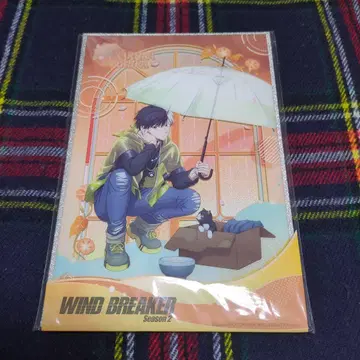 WIND BREAKER 윈브레 사쿠라 하루카 맑은 날씨 비 중국 상하이 아크릴 색지
