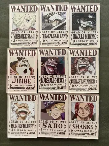 ONEPIECE 수배서 마그넷 9개 세트