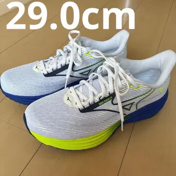 미즈노 러닝화 WAVE RIDER 29