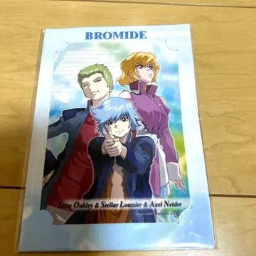 기동전사 건담 SEED DESTINY 브로마이드 스팅 스텔라 아울