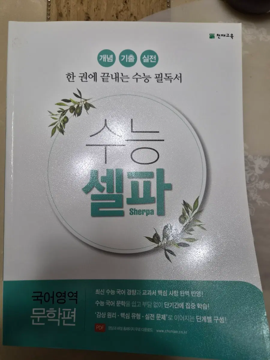 천재교육 수능 셀파 국어영역 문학편