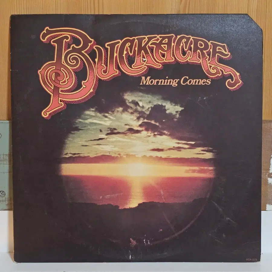 Buckacre - Morning Comes LP
