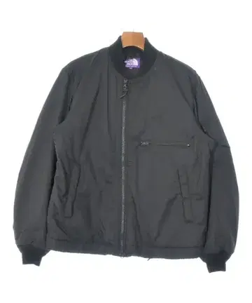 THE NORTH FACE PURPLE LABEL 블루종 남성용