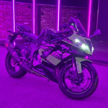 17년식 가와사키 닌자 ZX6R 순정카울/아크라포빅 구변o | 오토바이