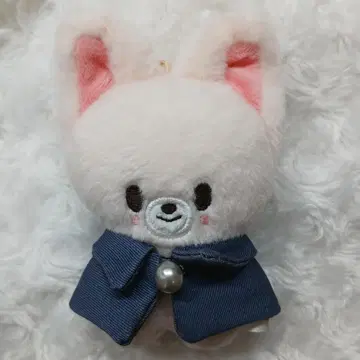 스트레이 키즈 아이엔 폭시니 skzoo 10cm