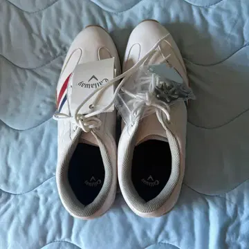 최종 가격 Callaway 골프화