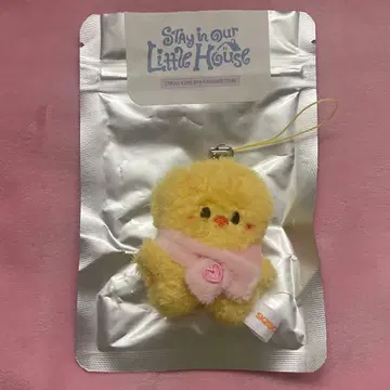 straykids 스키즈 SKZOO 마이크로 포가리 필릭스 팬미