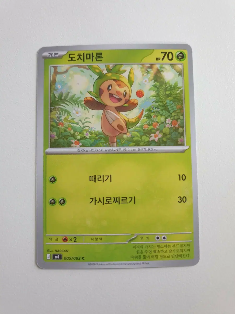 도치마론 포켓몬카드