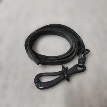 율리우스 벨트