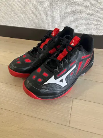 MIZUNO WAVE EXCEED 4 테니스화