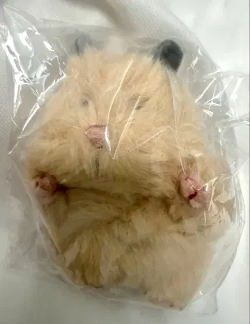 새상품 미개봉 하무니기리 키나코 본체 리브하트 봉제 인형 햄스터