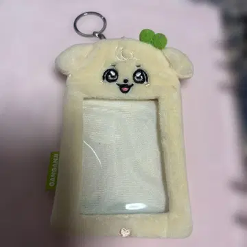칸안지 트레이딩 카드 케이스 minive
