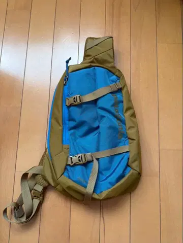 Patagonia Atom Sling Bag