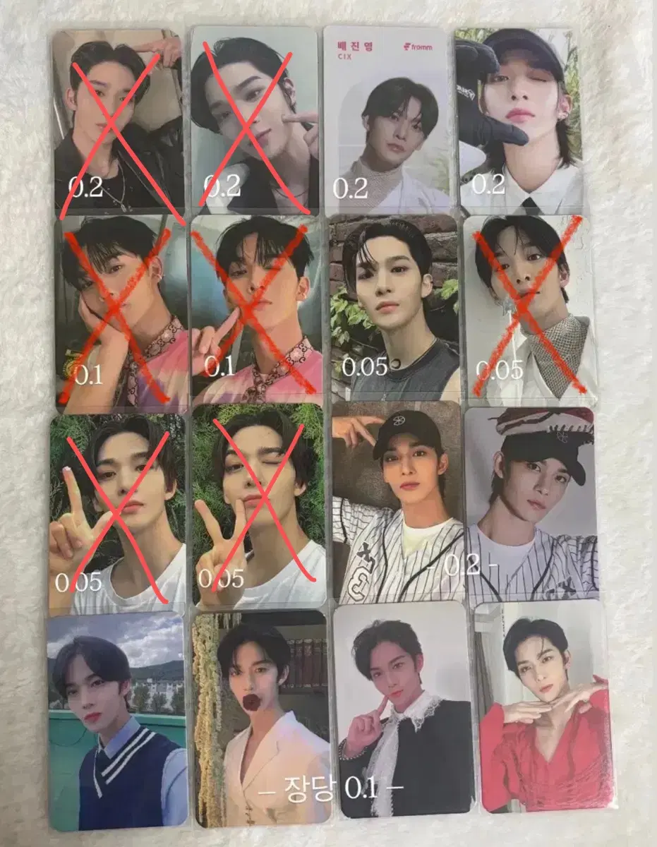 배진영 포카양도