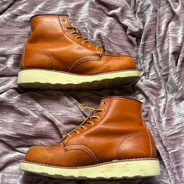 REDWING 6-incClassicMoc 레드윙 아이리쉬 세터