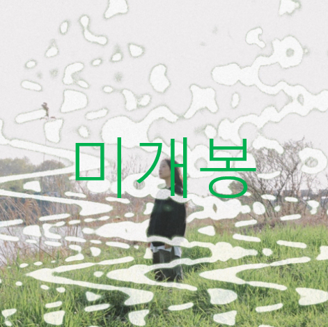 [미개봉] 최미루 (meeroo choi) - nEwCHAt (CD)