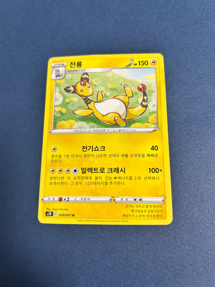 포켓몬카드 전룡 일반카드 도감용 덱소스 s7R 028/067