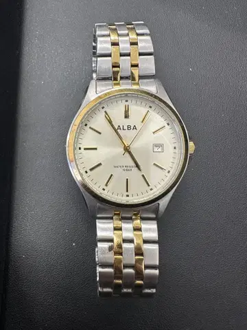 ALBA 남성용 손목시계 콤비 컬러