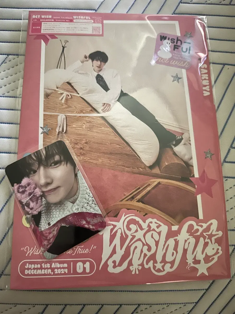 위시풀윈터 wishful winter 사쿠야 개인반 포카 일괄양도