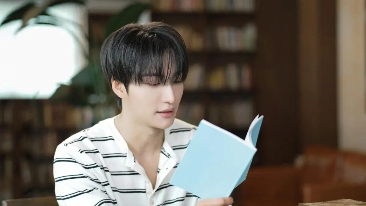 2026 성화 비포슬립 md 스페셜 도서 양도 구합니다 (사막의 별)