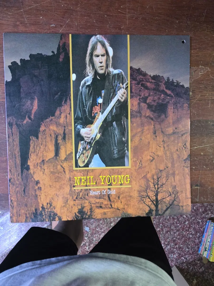 Neil Young 닐영 lp 소장용