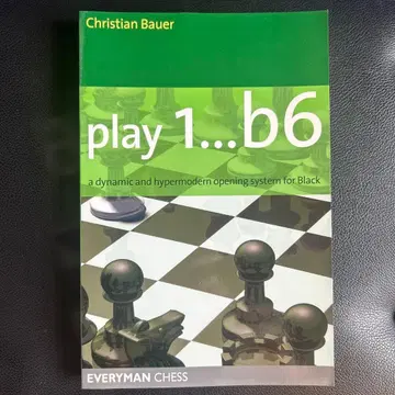 play1 - b6 체스 도서 외국도서