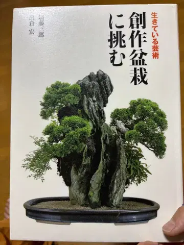 창작 분재에 도전하다: 살아있는 예술