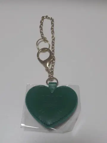 발렌타인 백참 스우 렌지