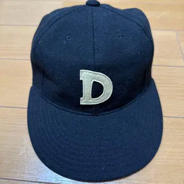 THE H.W. DOG & CO. D 로고 캡